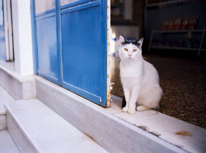 杀破狼一周运势（2025.12.15~12.21）处女座人际旺盛 天蝎座年终可期