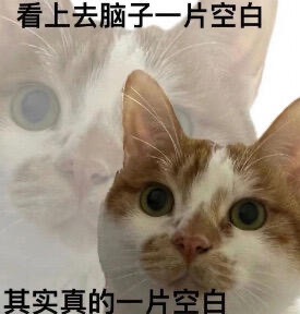 脑子没啦(⊙…⊙)_1_蛇蛇的Lucky Time_来自小红书网页版